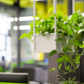 Celebrating Earth Day: Top 7 ways to make your workplace eco-friendly