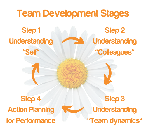 Team Development Stages (1).png