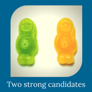 DakotaBlueHRConsulting_Blog_Kent_Two strong candidates.png