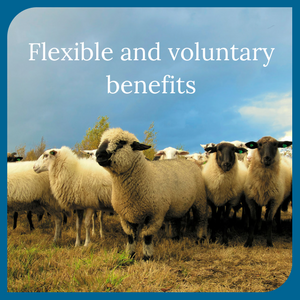 DakotaBlueHRConsulting_Blog_Kent_Flexible and voluntary benefits (2).png