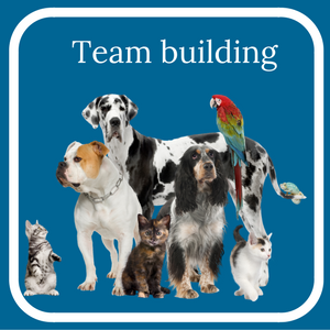 DakotaBlueHRConsulting_Kent_Blog_Effective team building.png