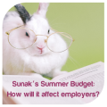 Sunack's summer budget