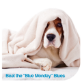 Beat the ‘Blue Monday’ Blues