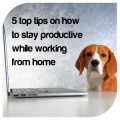 5 top tips on how to stay productive while working from home