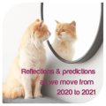 Reflections and predictions as we move from 2020 to 2021