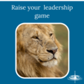 Six ways to raise your leadership game this week