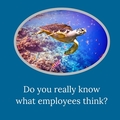 Five questions to ask your employees this week