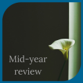 Mid-year review for your business