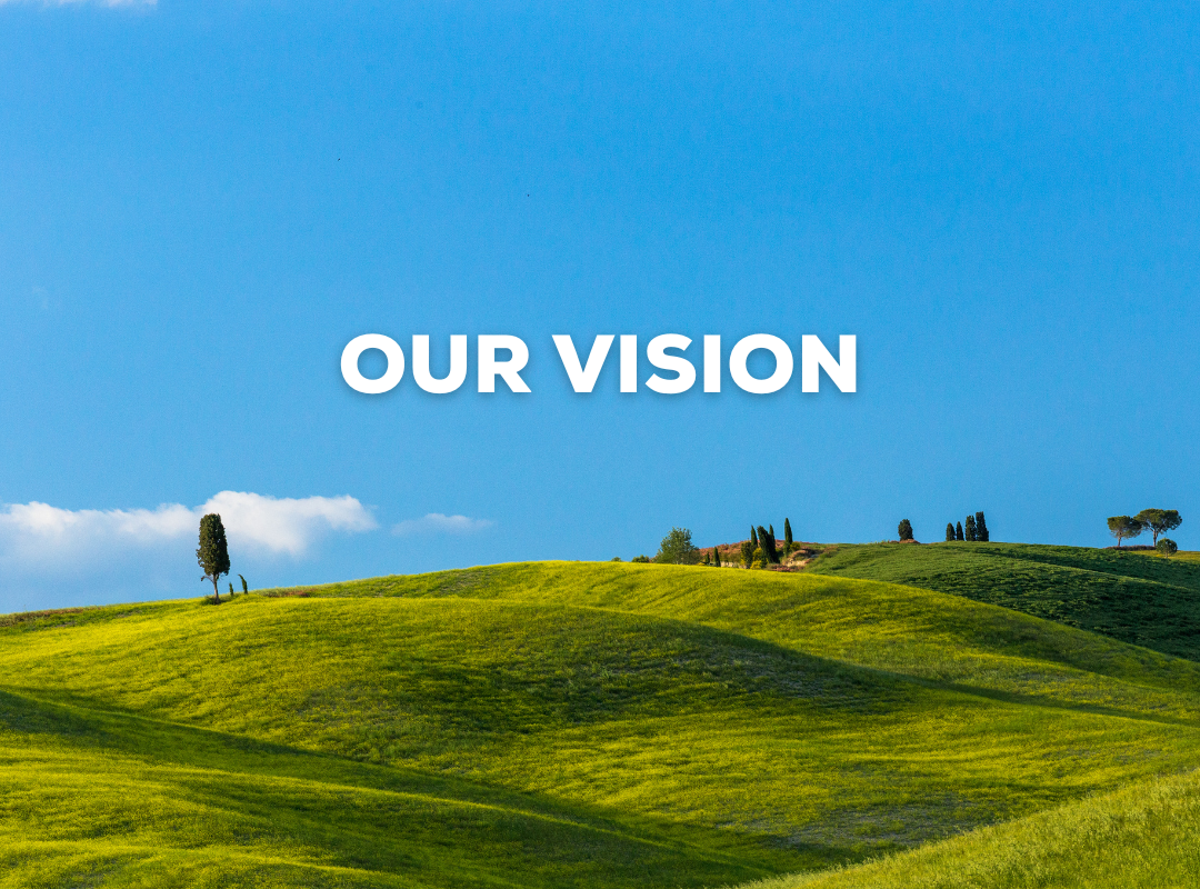 alt="hr consulting firm vision"