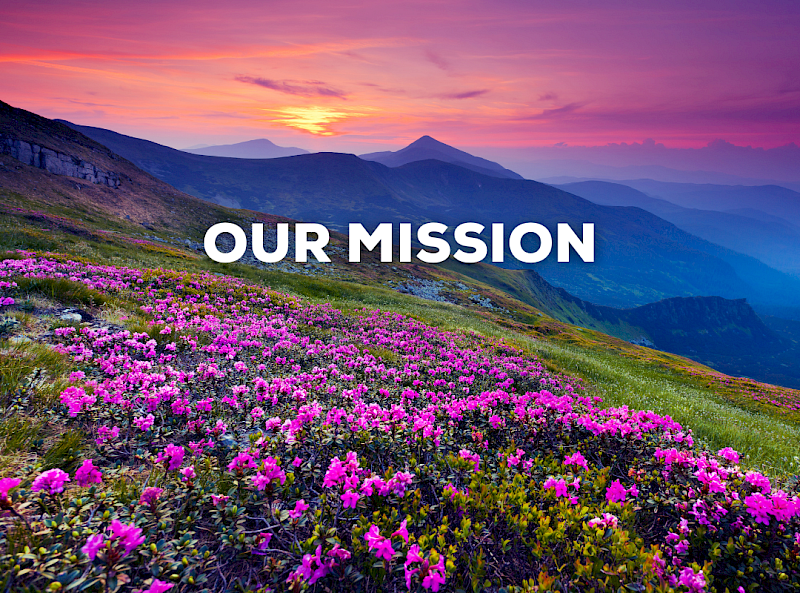 alt="hr consulting firm mission"