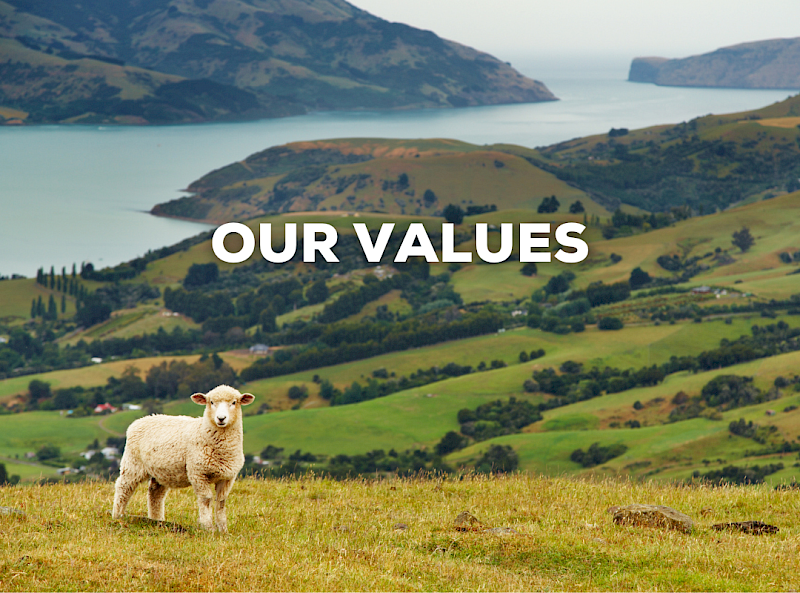 alt="hr consulting firm values"