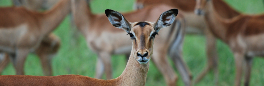 Do job vacancies have to be advertised externally?