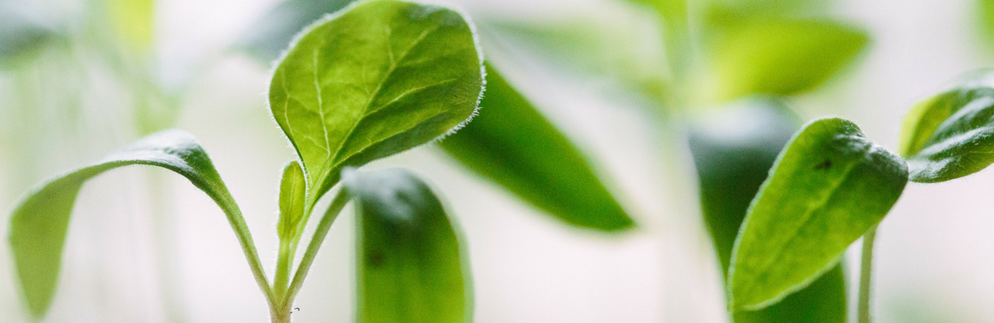 Is career development for women as big an issue as the gender pay gap?