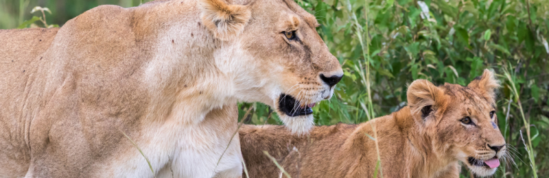 Why you should invest in management development