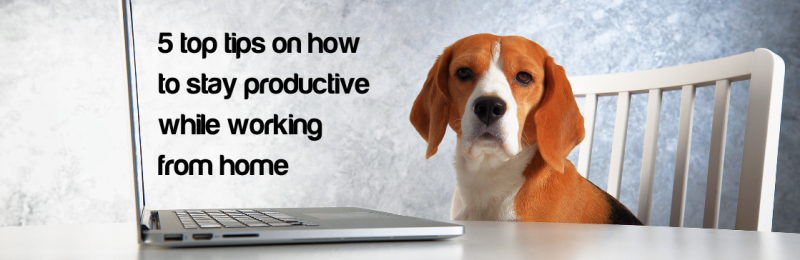 Dakota Blue Consulting :: 5 top tips on how to stay productive while working from home
