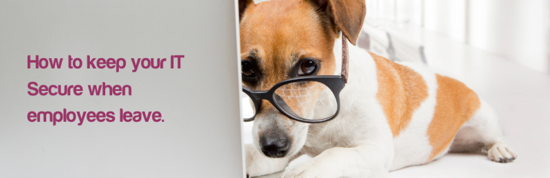 Dakota Blue Consulting :: How to keep your IT Secure when employees leave.