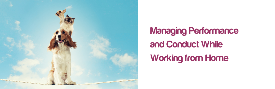 Dakota Blue Consulting :: Managing Performance and Conduct While Working from Home