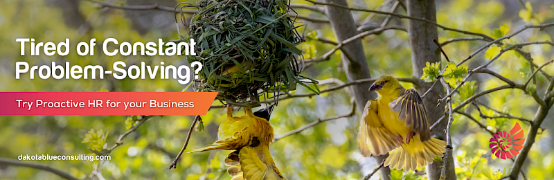 Tired of Constant Problem-Solving, Try Proactive HR for your Business