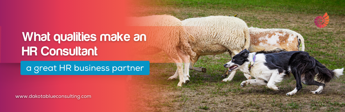 What qualities make an HR Consultant a great HR business partner?