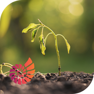 You Do Not Have an HR Problem,You Have a Growth Problem