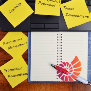 The 7 Best HR Tools for Small Businesses in the UK