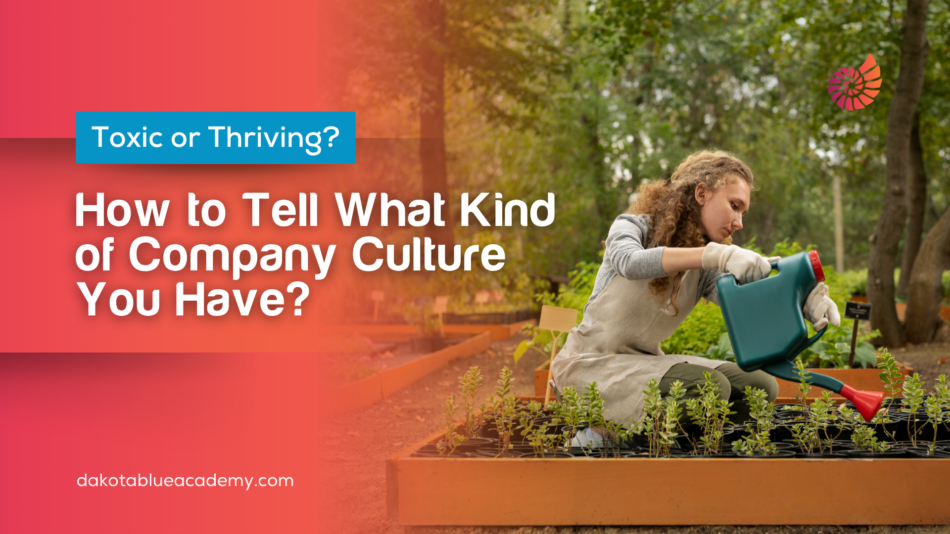 Toxic or Thriving? How to Tell What Kind of Company Culture You Have