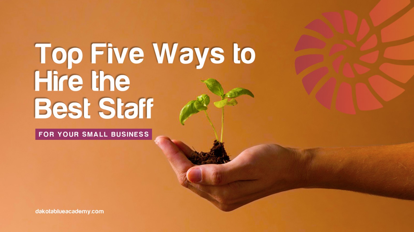 Top five ways to hire the best staff for your small business